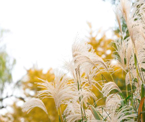 界面設(shè)計(jì)